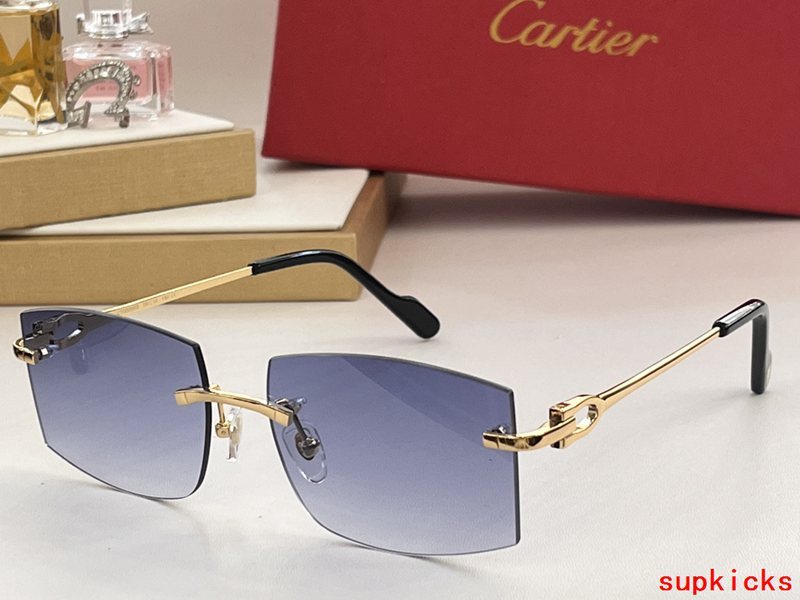 Angled view of Cartier unisex sunglasses