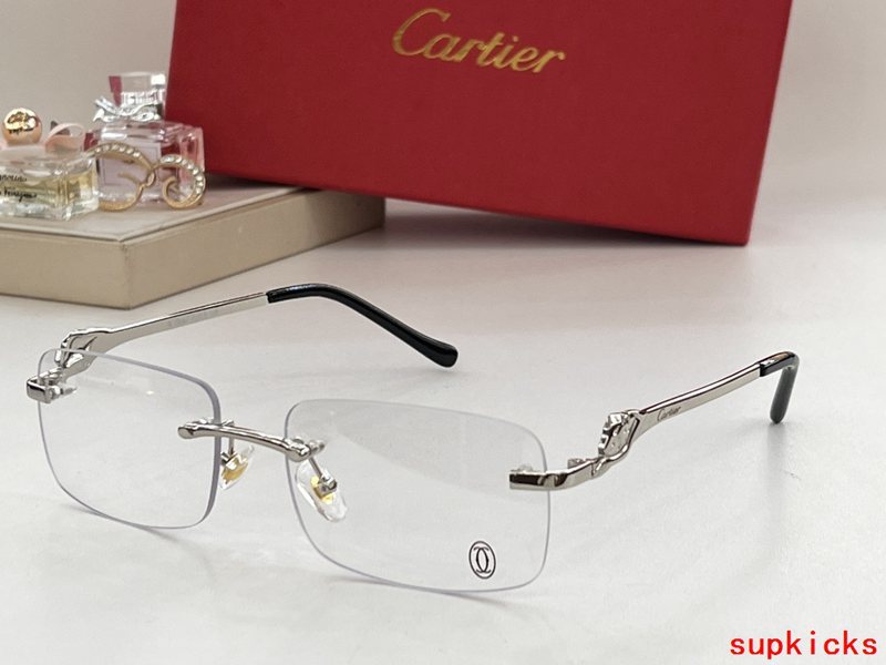 Close-up detail view of Cartier unisex sunglasses