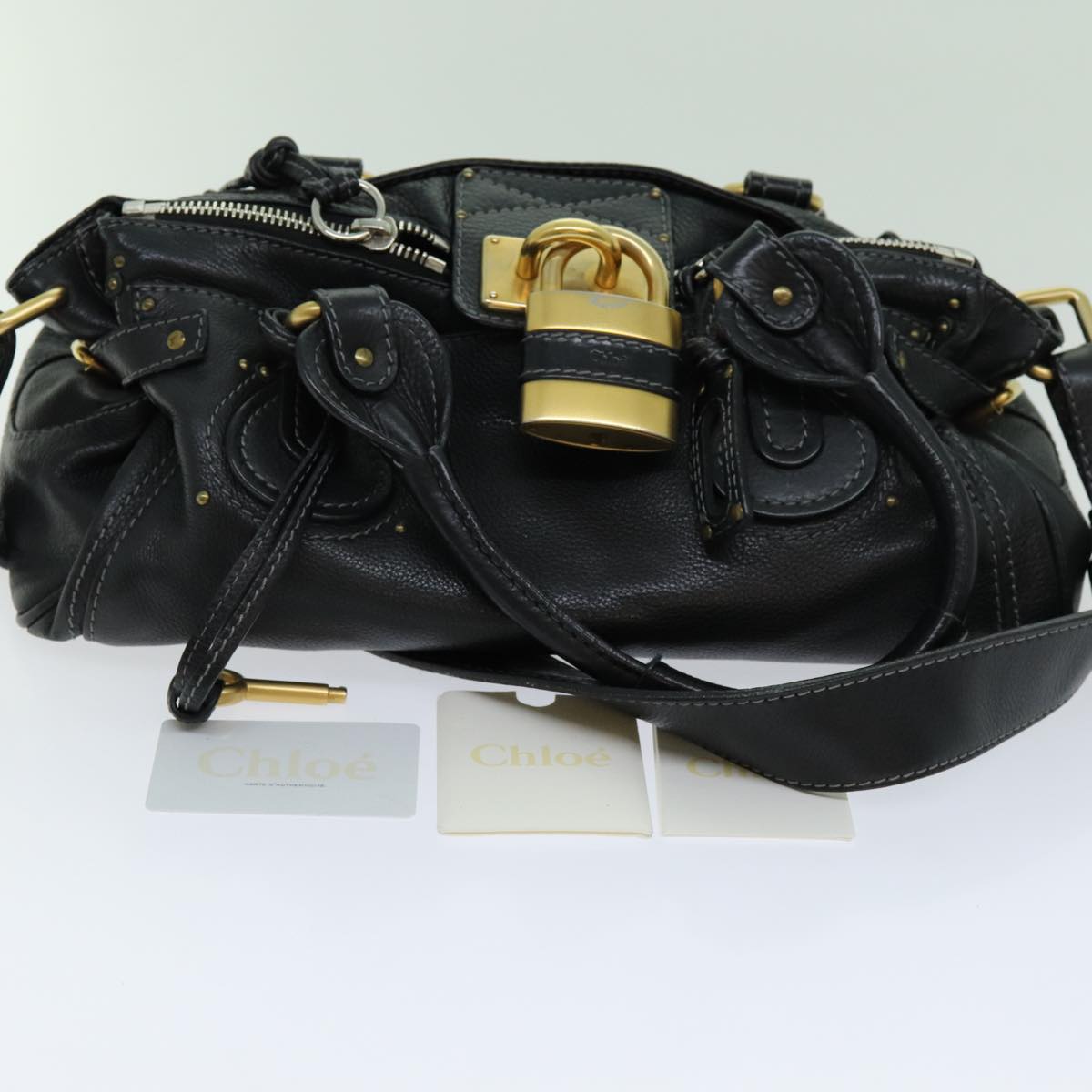 Zelvarix elegant leather Handbag back view