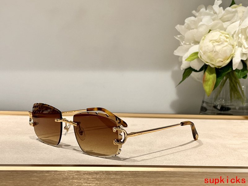 Lifestyle view of Cartier unisex sunglasses