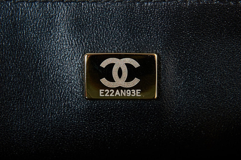 Zivas Charm Effortless Sophistication Designer Handbag (Premium Everyday Carry) – Lifestyle Shot