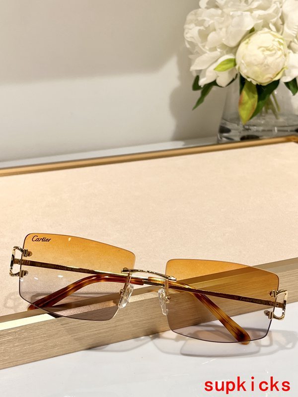 Lifestyle view of Cartier unisex sunglasses