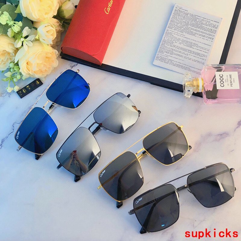 Side view of Cartier unisex sunglasses