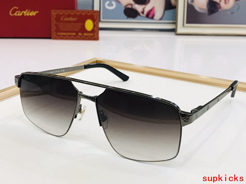 Side view of Cartier unisex sunglasses