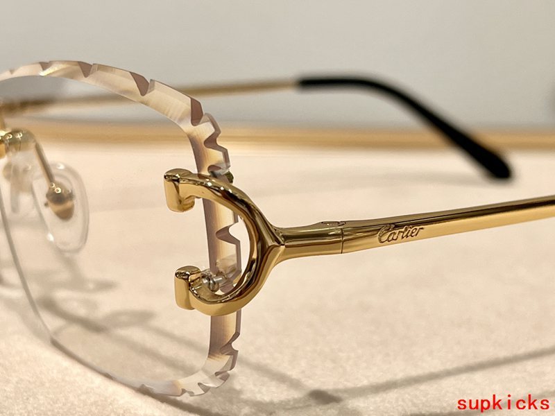 Full view of Cartier unisex sunglasses