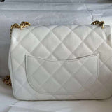Zivas Charm Effortless Sophistication Luxury Handbag (Refined Modern Silhouette) – Close-Up Detail