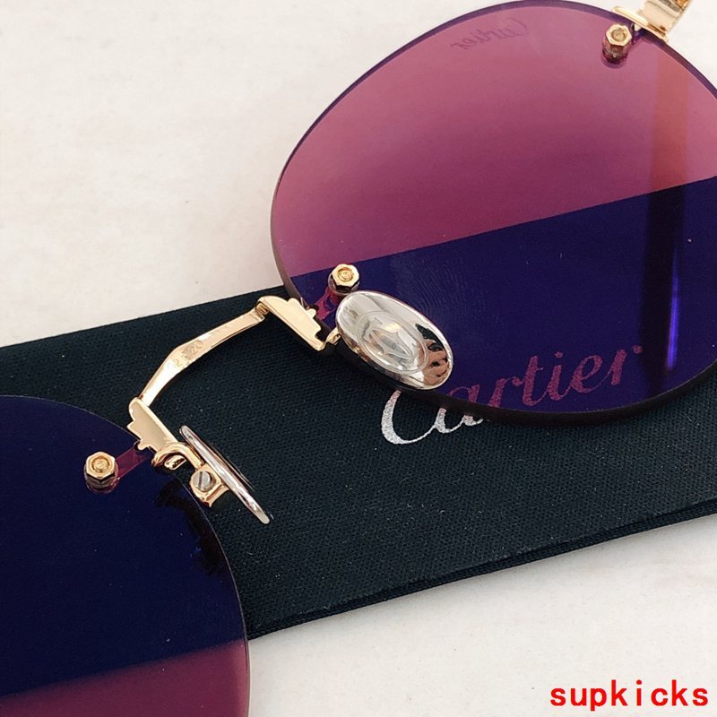 Close-up detail view of Cartier unisex sunglasses