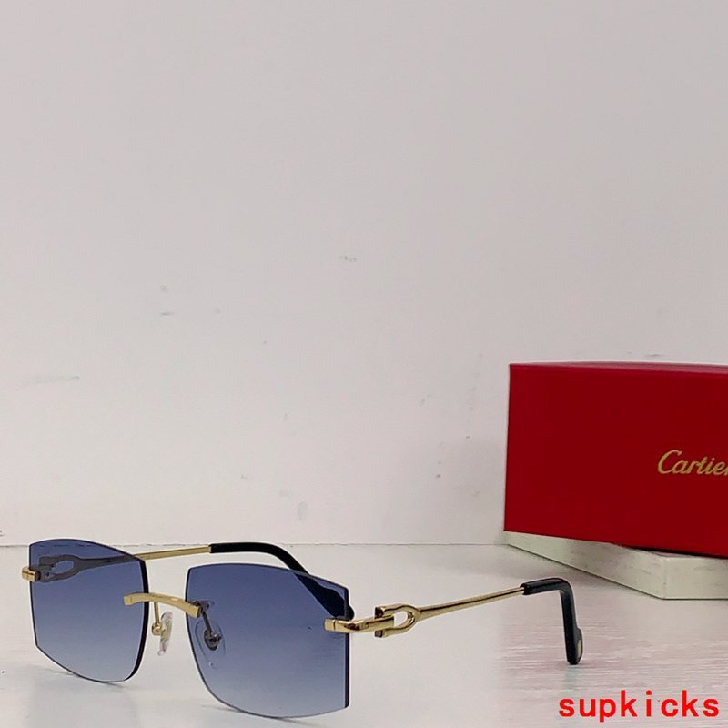 Close-up detail view of Cartier unisex sunglasses