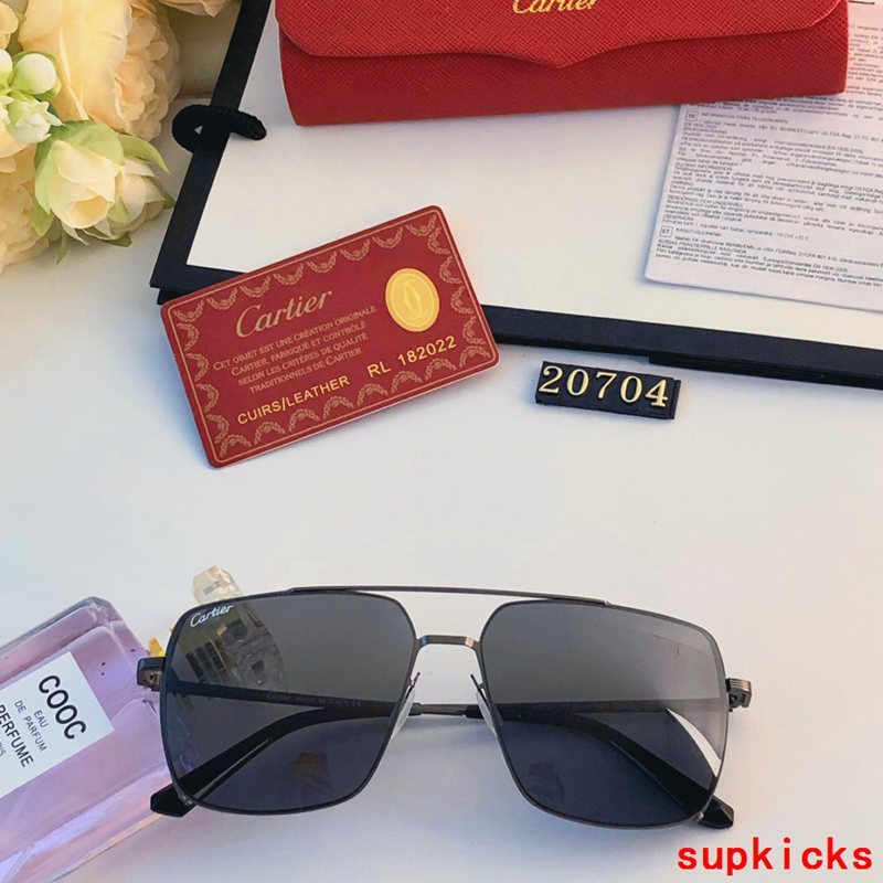 Side view of Cartier unisex sunglasses
