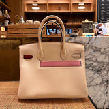  tote bag interior and compartment view 9