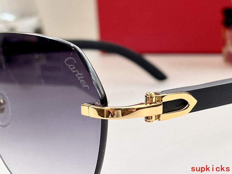 Close-up detail view of Cartier unisex sunglasses