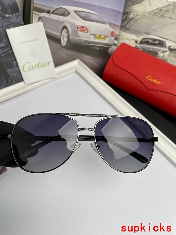 Full view of Cartier unisex sunglasses