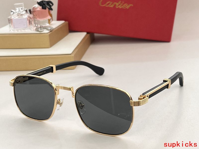 Front view of Cartier unisex sunglasses