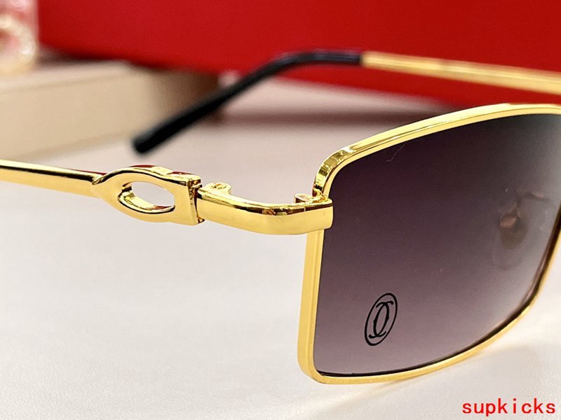Side view of Cartier unisex sunglasses