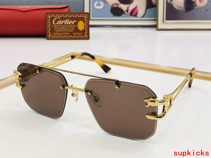 Close-up detail view of Cartier unisex sunglasses