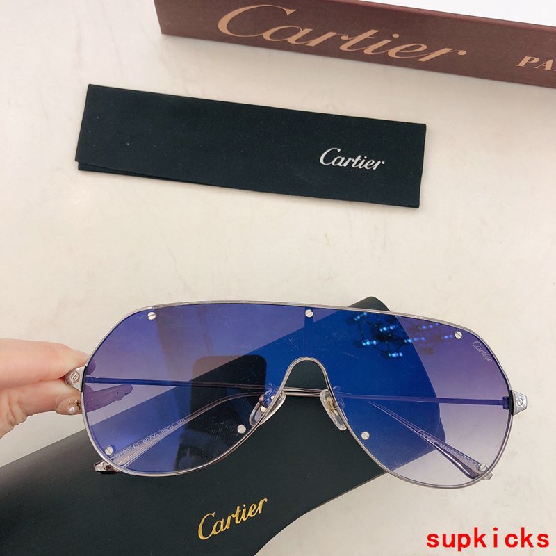 Side view of Cartier unisex sunglasses