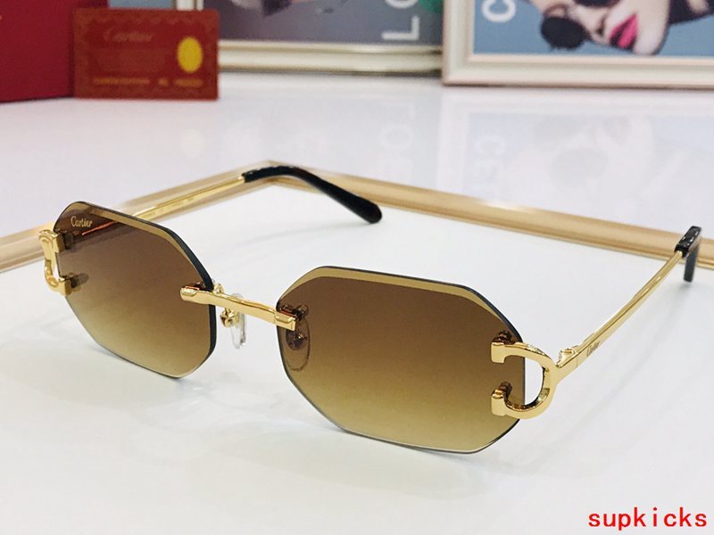 Close-up detail view of Cartier unisex sunglasses