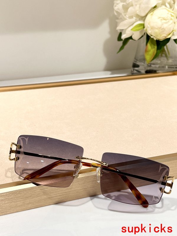 Full view of Cartier unisex sunglasses