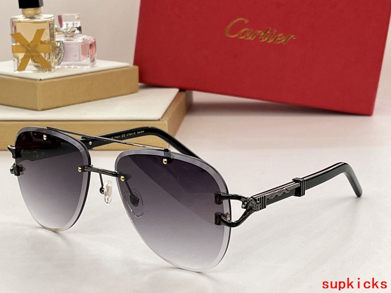Lifestyle view of Cartier unisex sunglasses