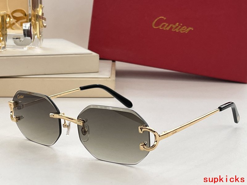 Full view of Cartier unisex sunglasses
