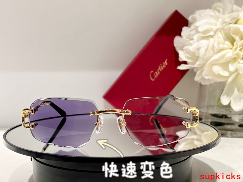 Lifestyle view of Cartier unisex sunglasses