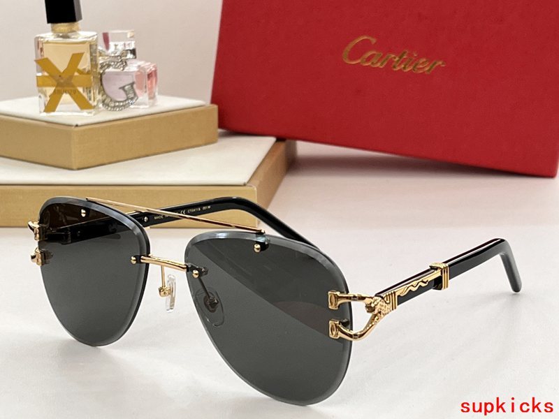 Close-up detail view of Cartier unisex sunglasses