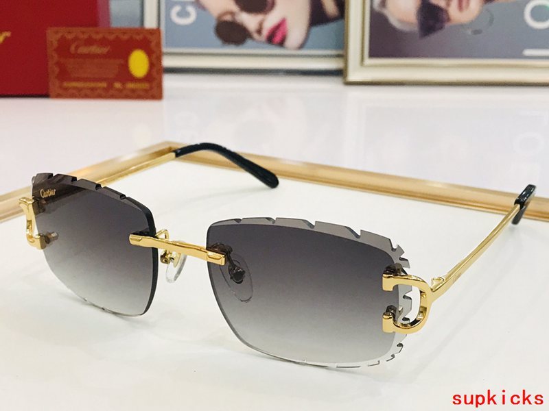 Side view of Cartier unisex sunglasses