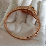 Full view of Cartier unisex jewelry piece