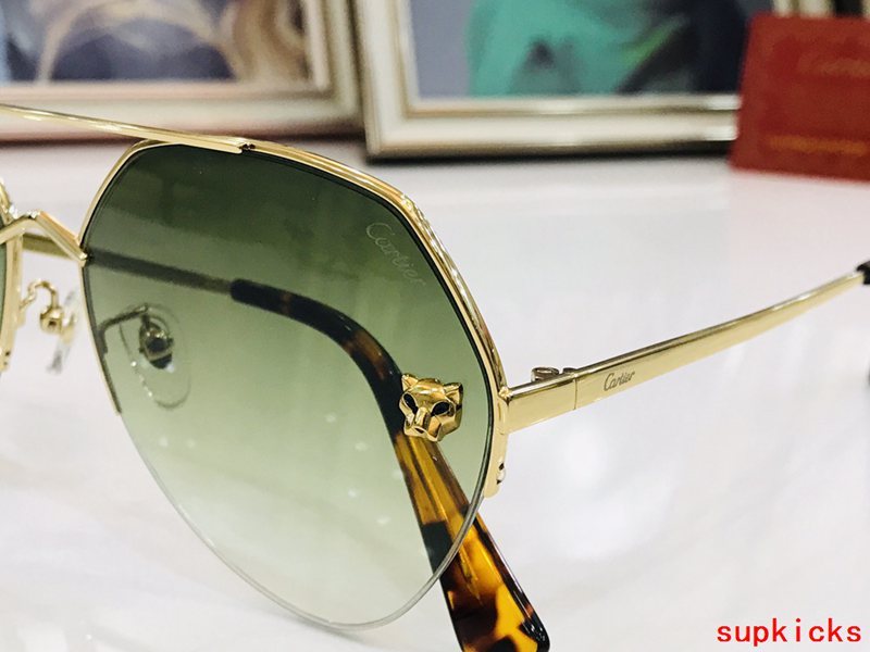 Side view of Cartier unisex sunglasses