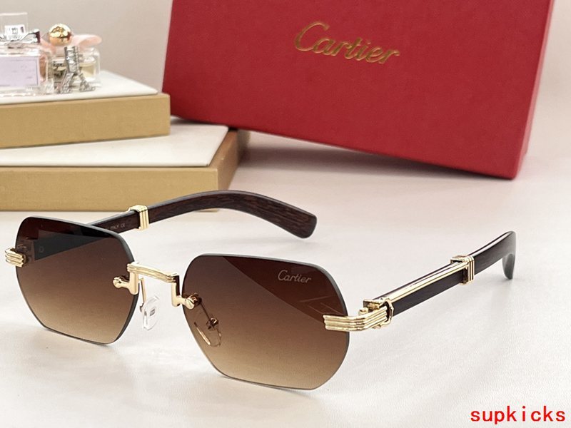 Close-up detail view of Cartier unisex sunglasses