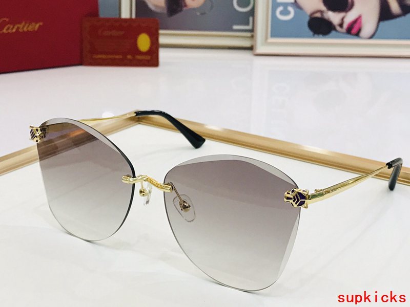 Close-up detail view of Cartier unisex sunglasses