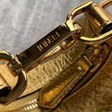 Ziva's Charm handbag – detail view (16.5cm*5cm*14cm)