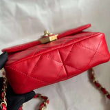 Zivas Charm Polished Finish Luxury Handbag (Thoughtfully Structured Design) – Styled Look