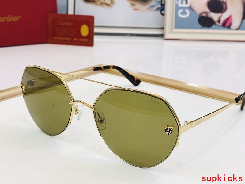 Close-up detail view of Cartier unisex sunglasses