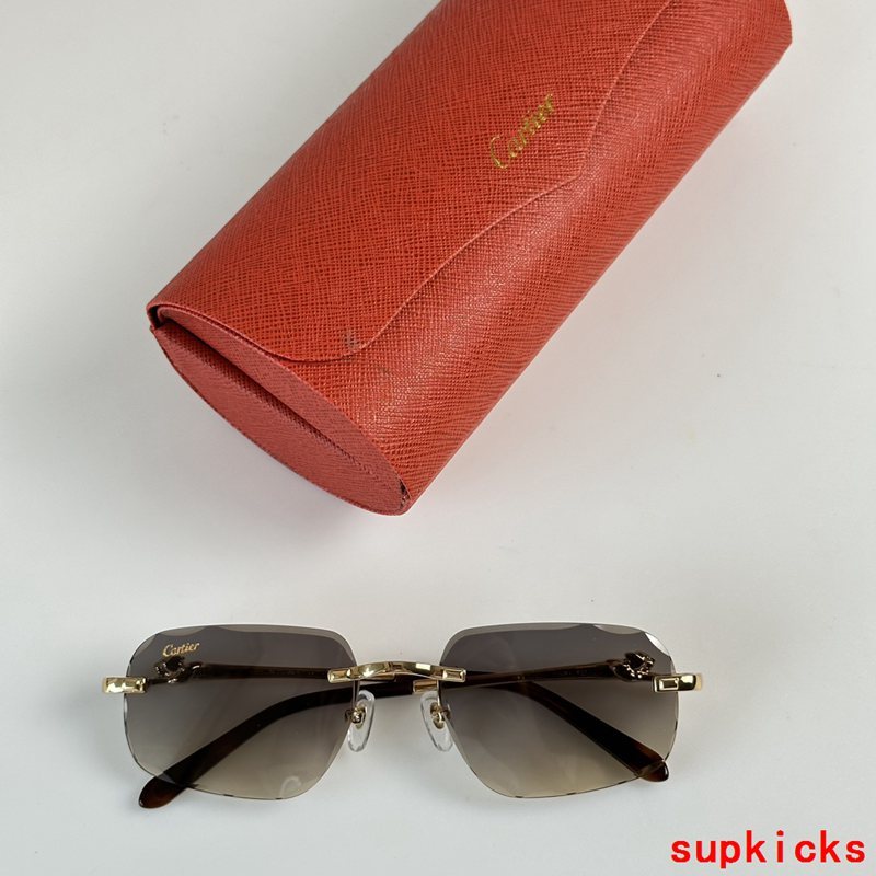Full view of Cartier unisex sunglasses