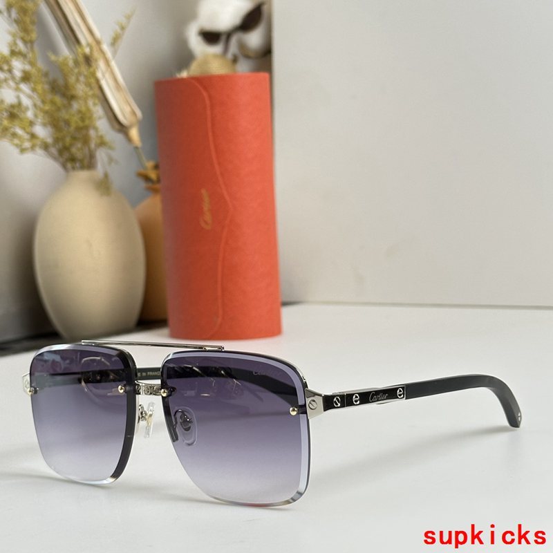 Front view of Cartier unisex sunglasses
