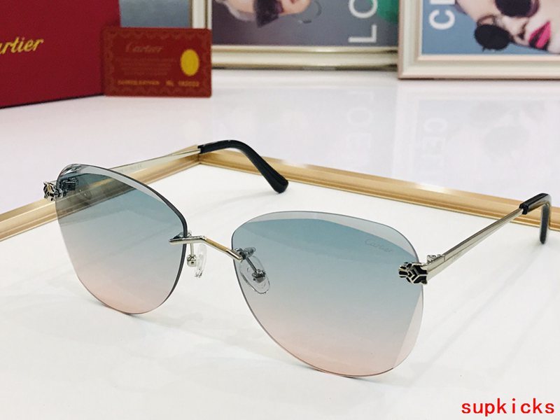 Full view of Cartier unisex sunglasses
