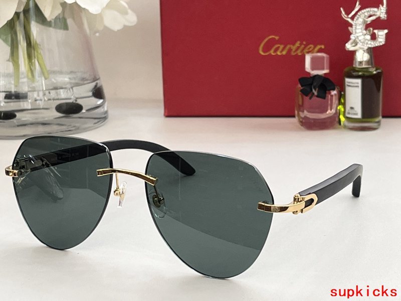 Front view of Cartier unisex sunglasses