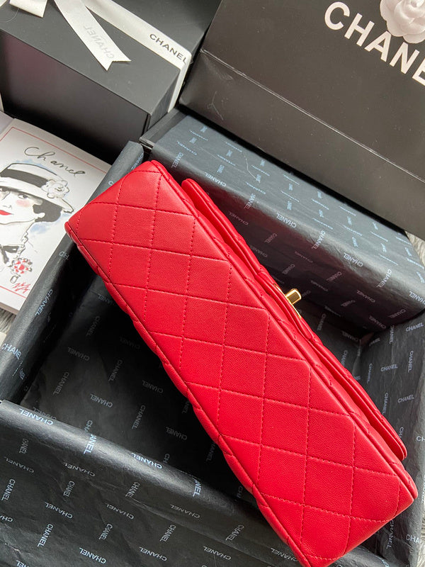 Zivas Charm Streamlined Design Designer Handbag (Polished Everyday Piece) – Detail View