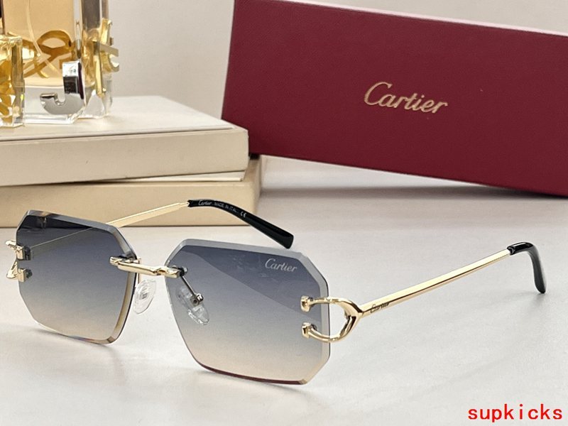 Full view of Cartier unisex sunglasses