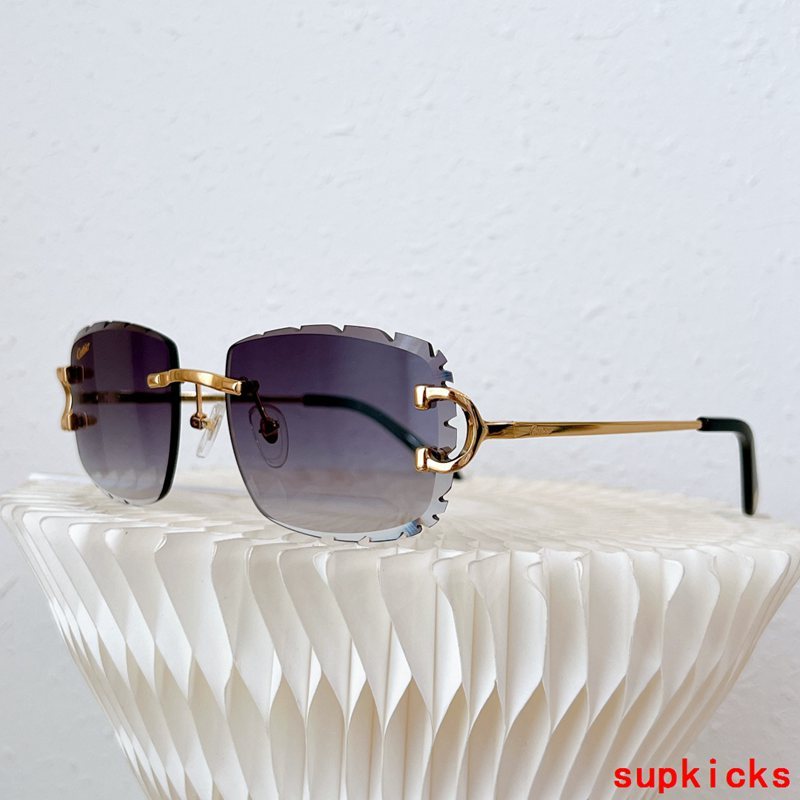 Side view of Cartier unisex sunglasses