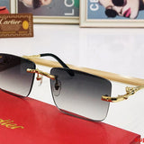Front view of Cartier unisex sunglasses