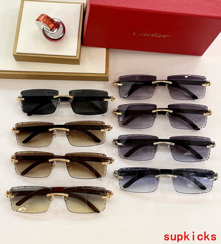 Lifestyle view of Cartier unisex sunglasses
