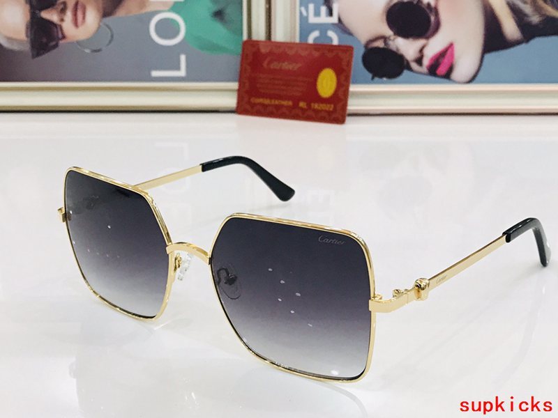 Front view of Cartier unisex sunglasses