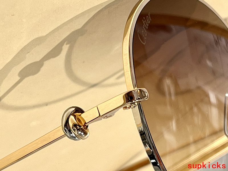Close-up detail view of Cartier unisex sunglasses