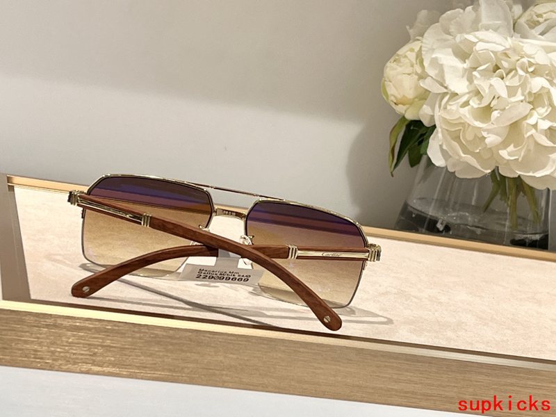 Side view of Cartier unisex sunglasses