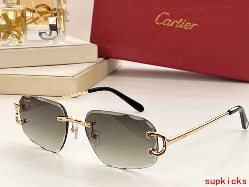 Close-up detail view of Cartier unisex sunglasses
