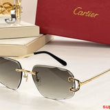 Close-up detail view of Cartier unisex sunglasses