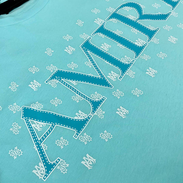 Amiri t-shirt back view — premium authentic designer style