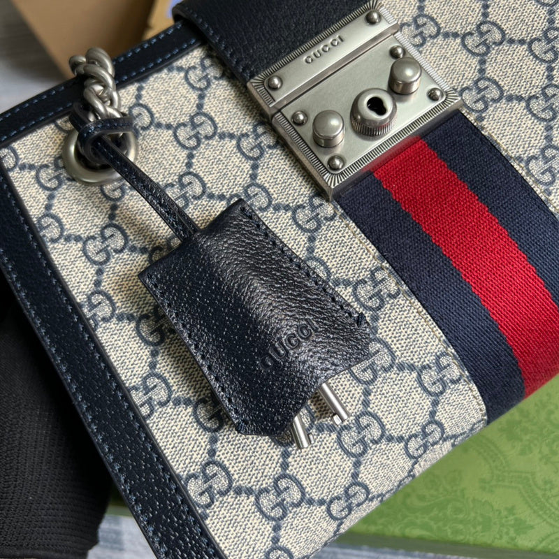Interior view of sleek statement women's handbag – women's everyday handbag
